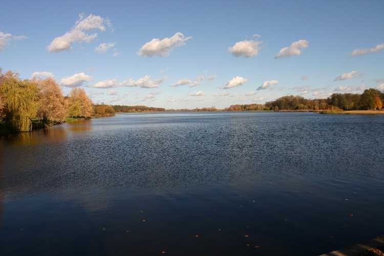 Image00007.jpg