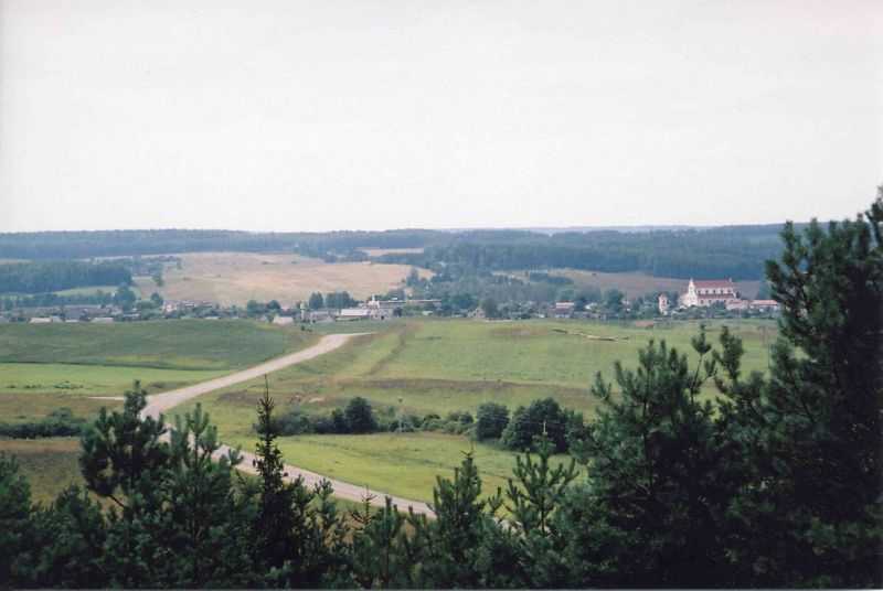 img018.jpg