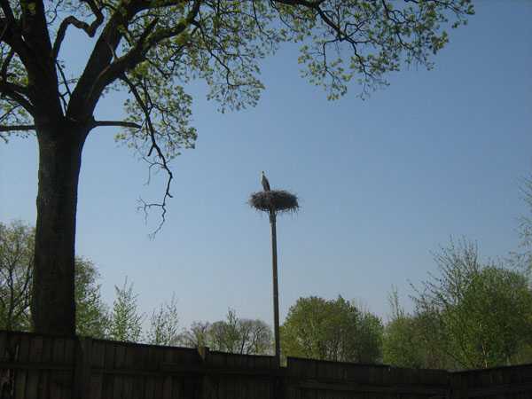 IMG_0001.jpg