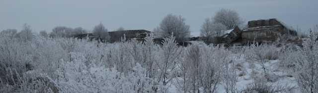 IMG_0132.JPG