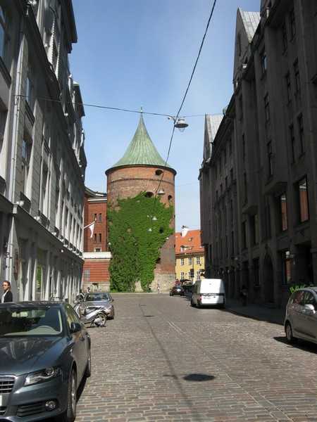 IMG 019.jpg