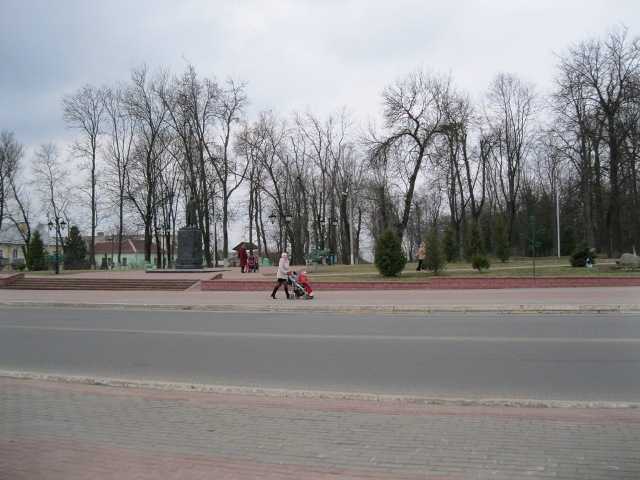 IMG_0446.jpg