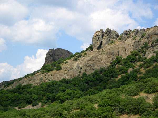 IMG_0517.jpg
