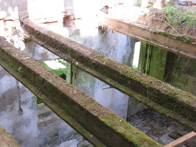 IMG 060.jpg