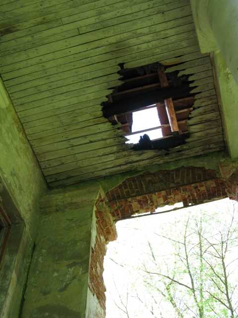 IMG 074.jpg