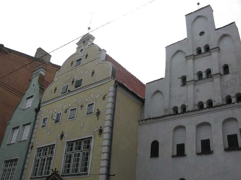 IMG 079.jpg