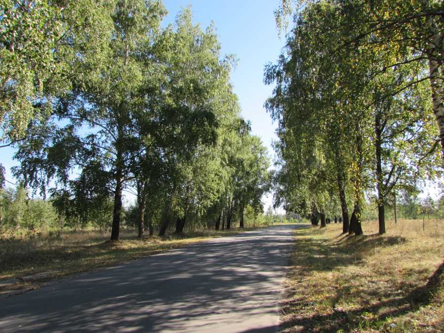 IMG_0810.JPG