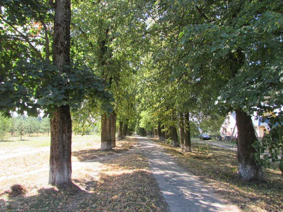 IMG_0818.JPG