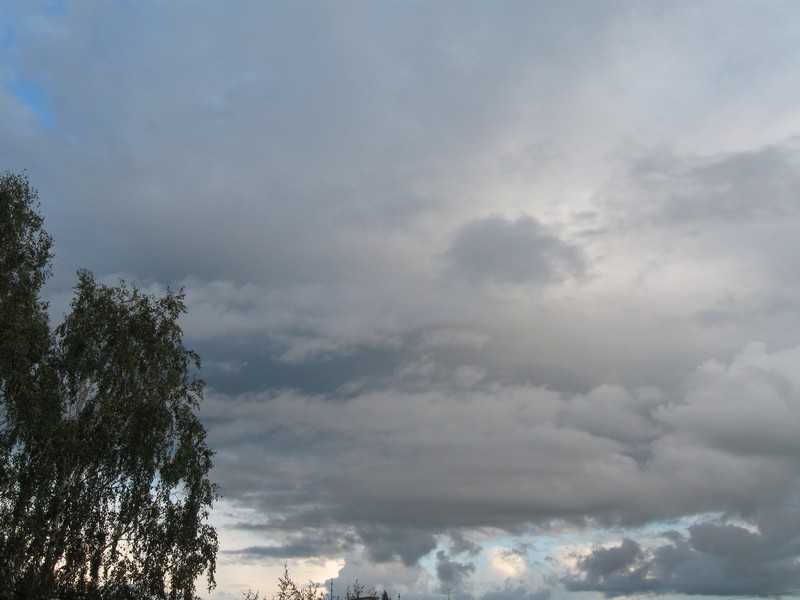 IMG_0823.JPG
