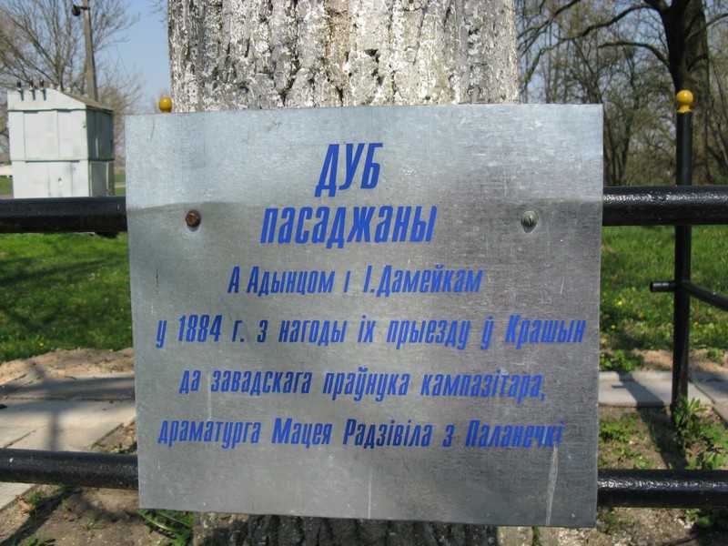 IMG 110.jpg