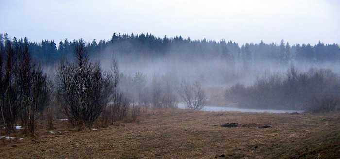 IMG_1153.jpg