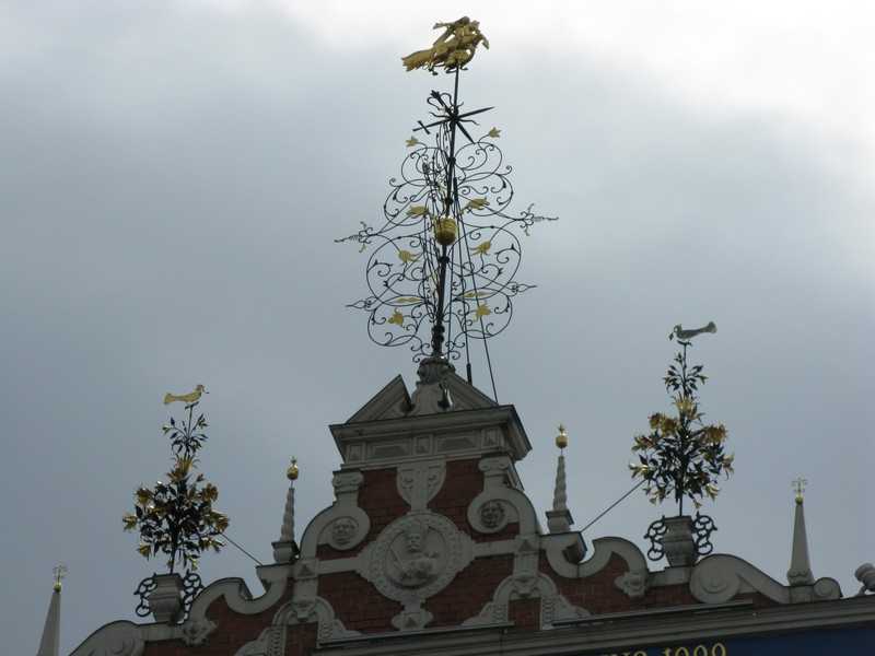 IMG 131.jpg