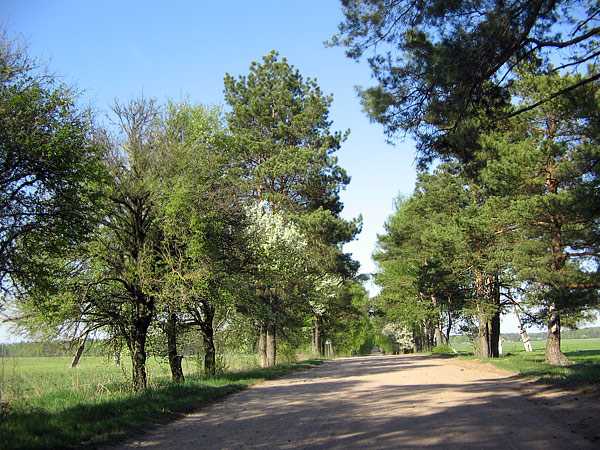 IMG_1675.jpg