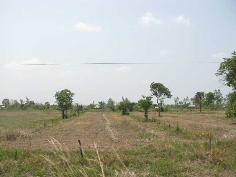 IMG 1777.jpg