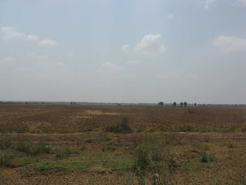 IMG 1794.jpg