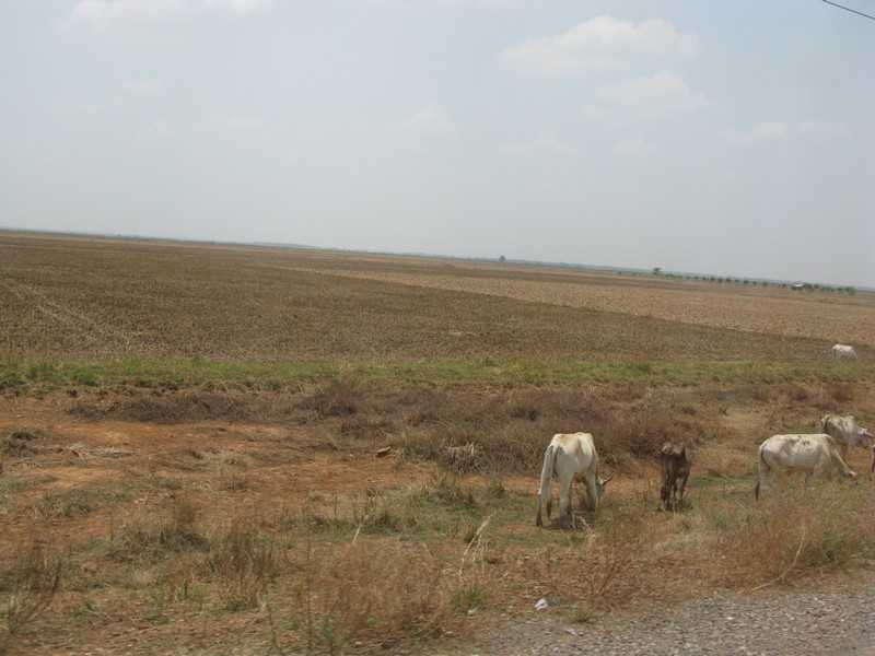IMG 1795.jpg