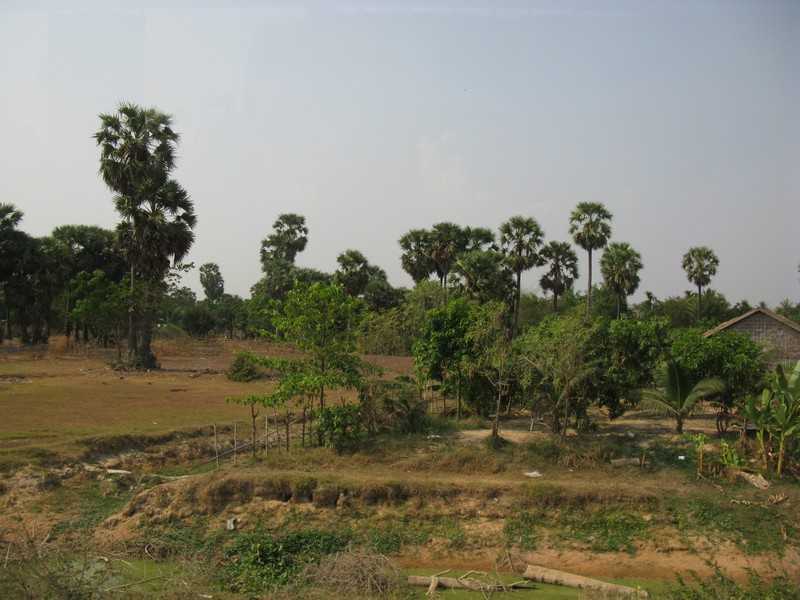 IMG 1811.jpg