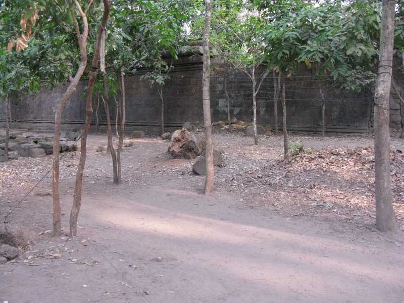 IMG 2027.jpg