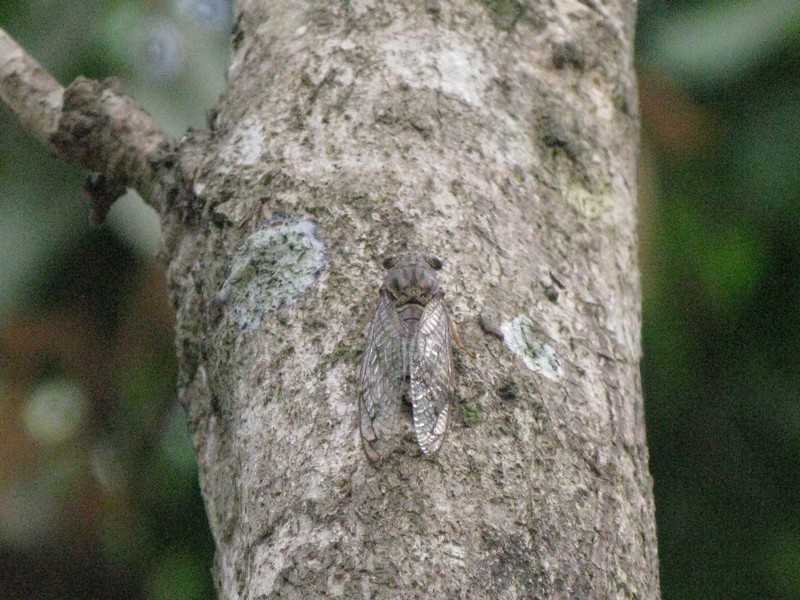 IMG 2031.jpg