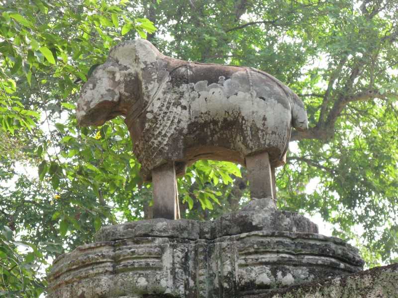 IMG 2040.jpg