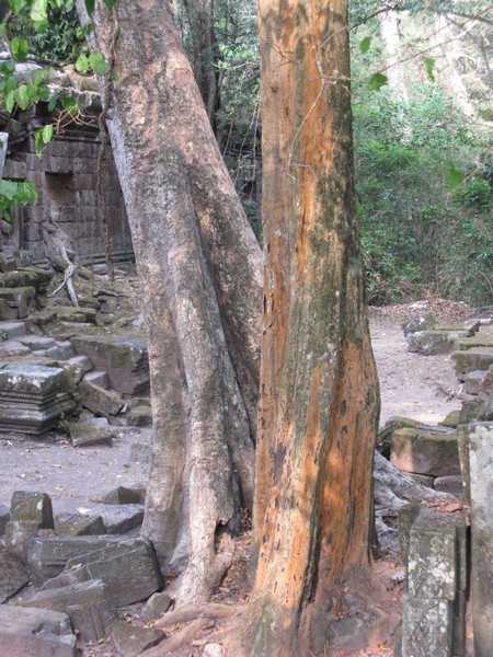 IMG 2056.jpg