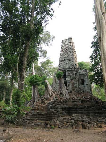 IMG 2068.jpg