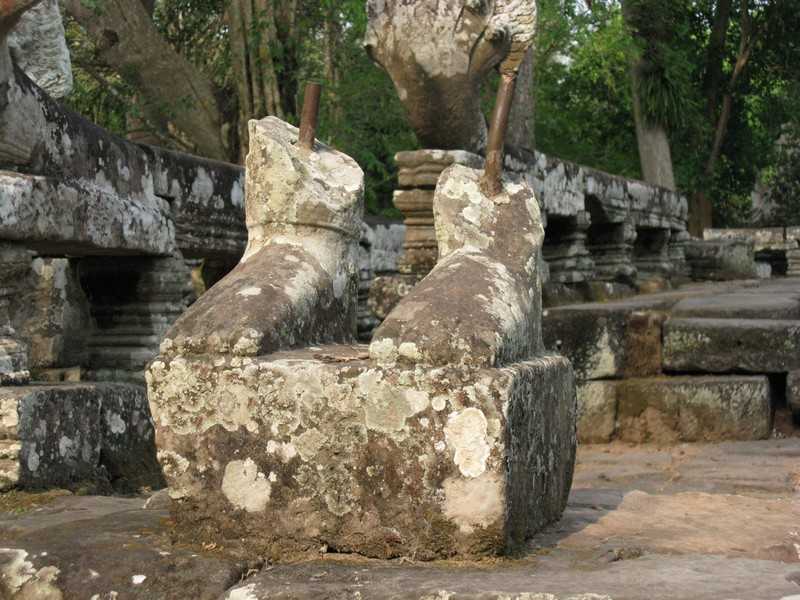 IMG 2079.jpg