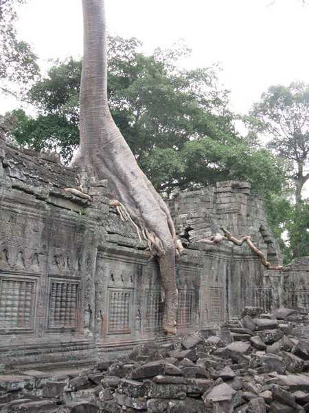 IMG 2151.jpg