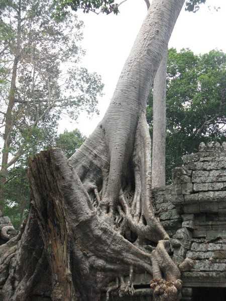 IMG 2156.jpg