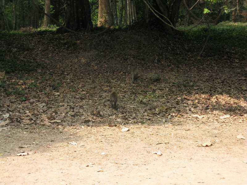 IMG 2170.jpg