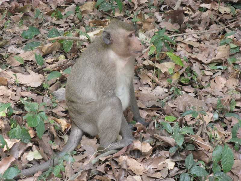 IMG 2174.jpg