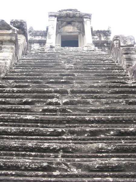 IMG 2204.jpg