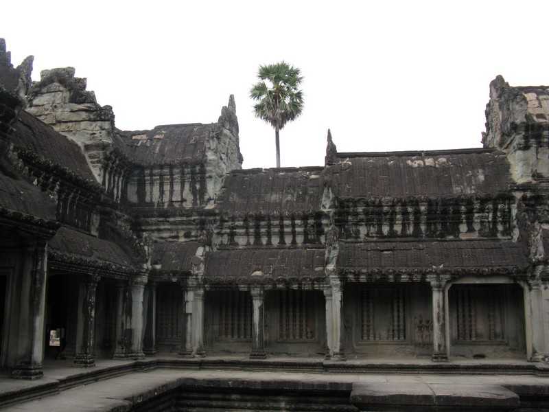 IMG 2234.jpg