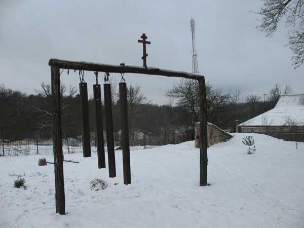 IMG_2317.jpg