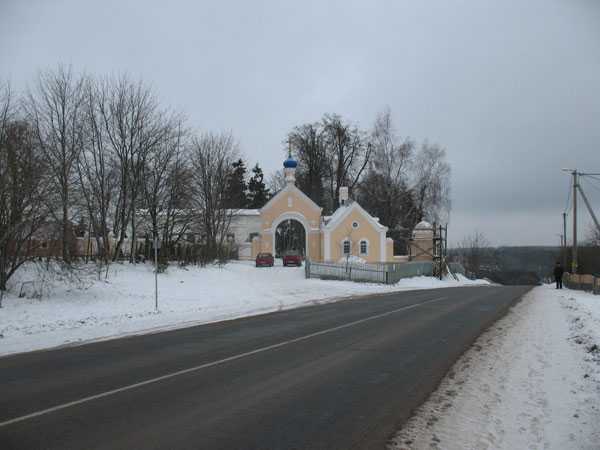 IMG_2340.jpg