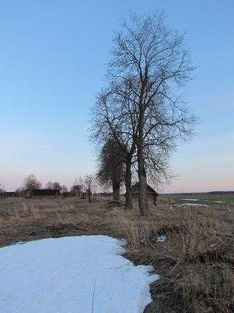 IMG_2584.JPG