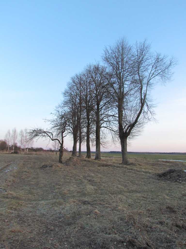 IMG_2586.JPG