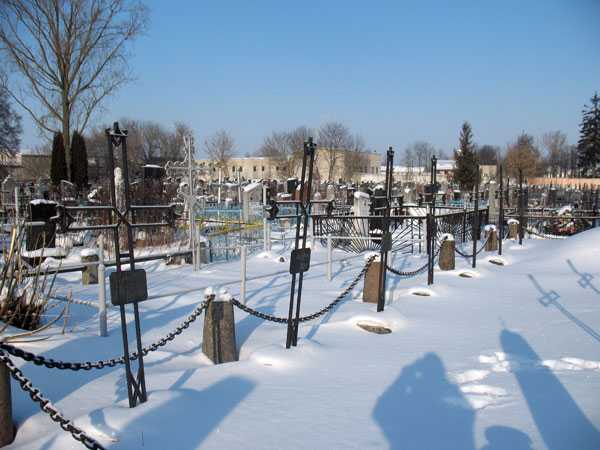 IMG_3150.jpg