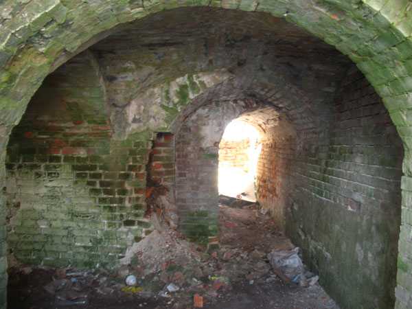 IMG_3384.jpg