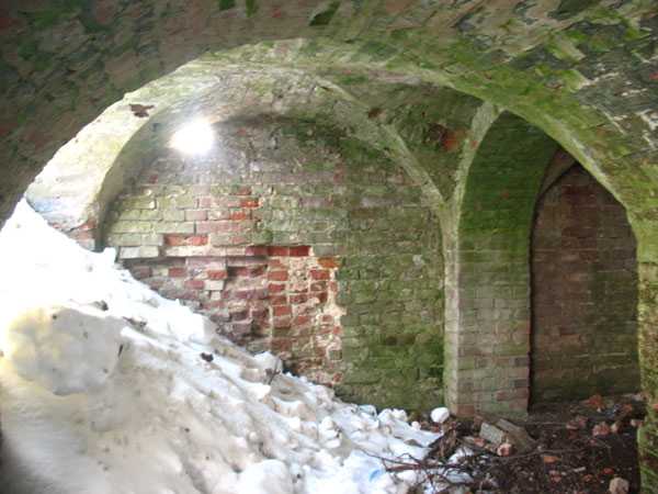 IMG_3385.jpg