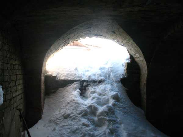 IMG_3386.jpg