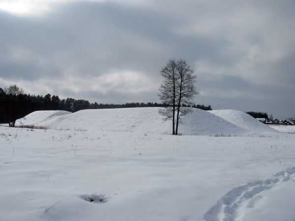 IMG_3406.jpg