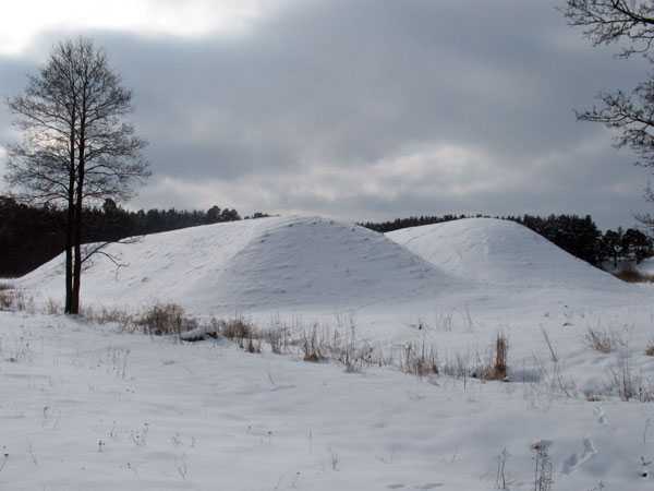 IMG_3407.jpg