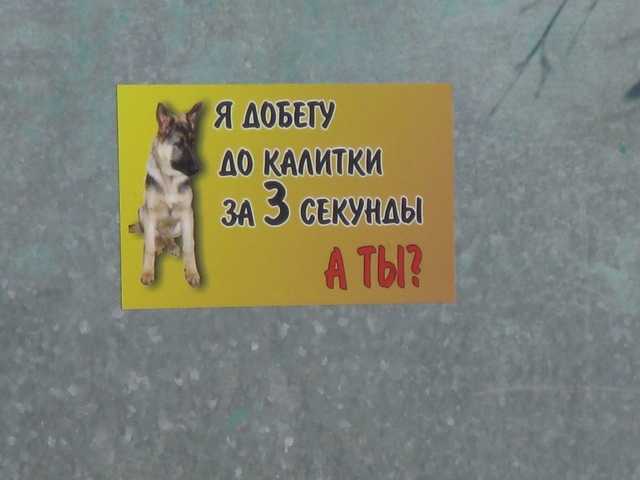 IMG 361.jpg