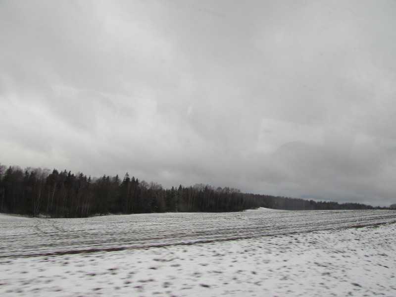 IMG_3893.JPG