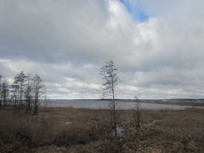 IMG_3903.JPG