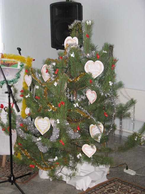 IMG_4494.jpg