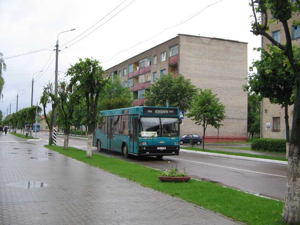 IMG_4799.jpg