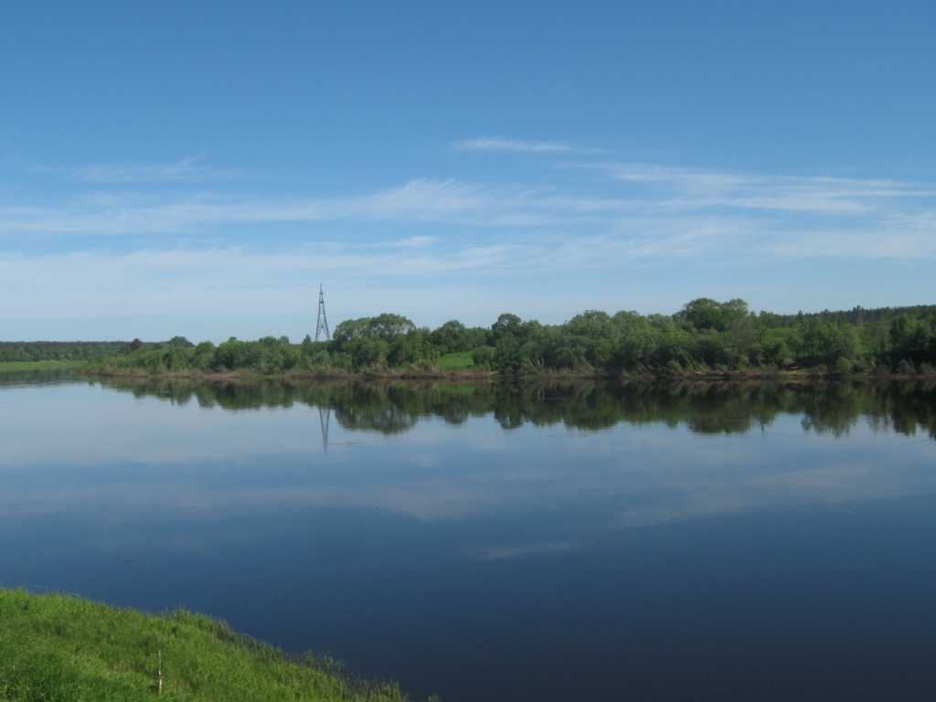 IMG_4813.jpg