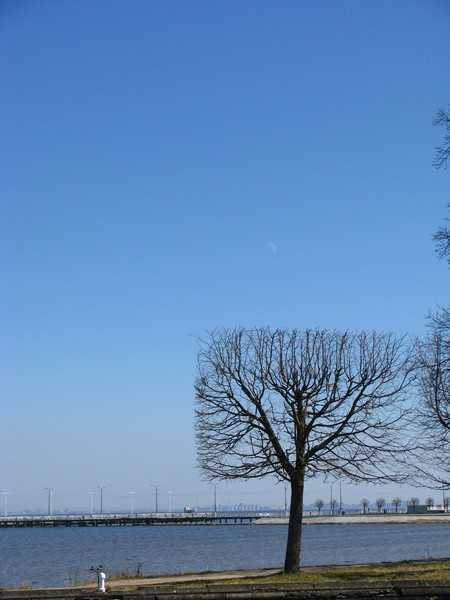 IMG_5731.jpg